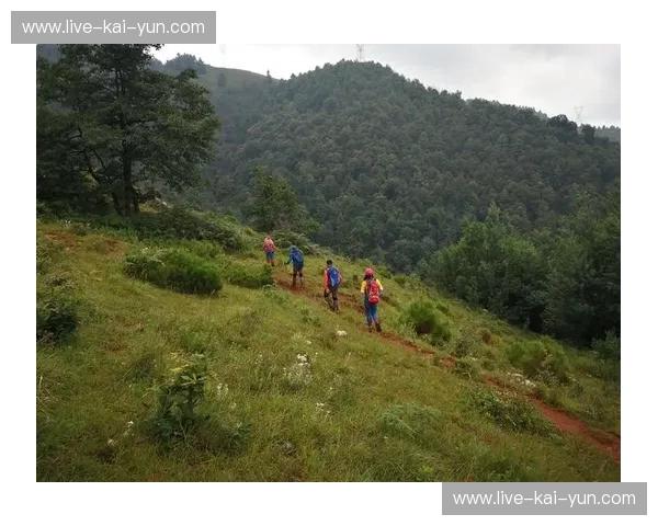硝烟再起！恒大vs西悉尼，亚洲冠军的荣耀之战，你怎能错过？