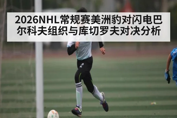 2026NHL常规赛美洲豹对闪电巴尔科夫组织与库切罗夫对决分析